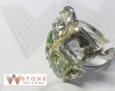Anel W029029