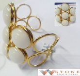 Brac. W01313