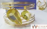 Brac. W009